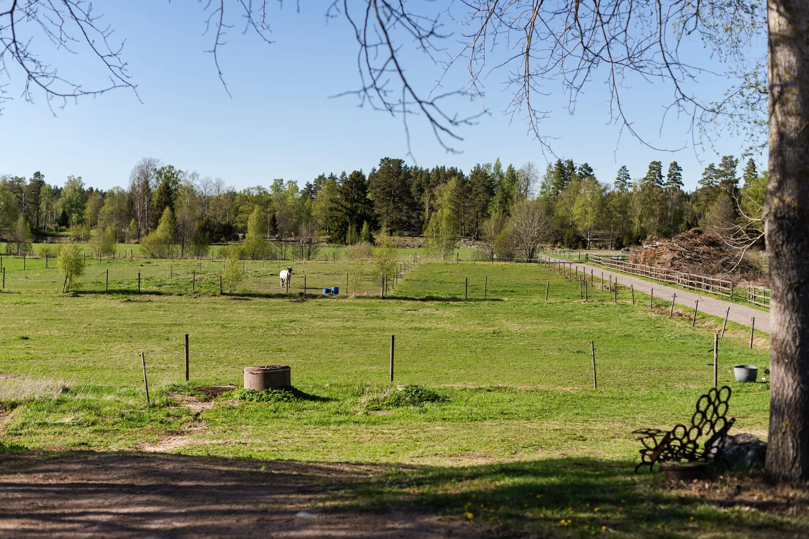Gård/Skog, Gullstigen Rosenlund 1, Boxholm