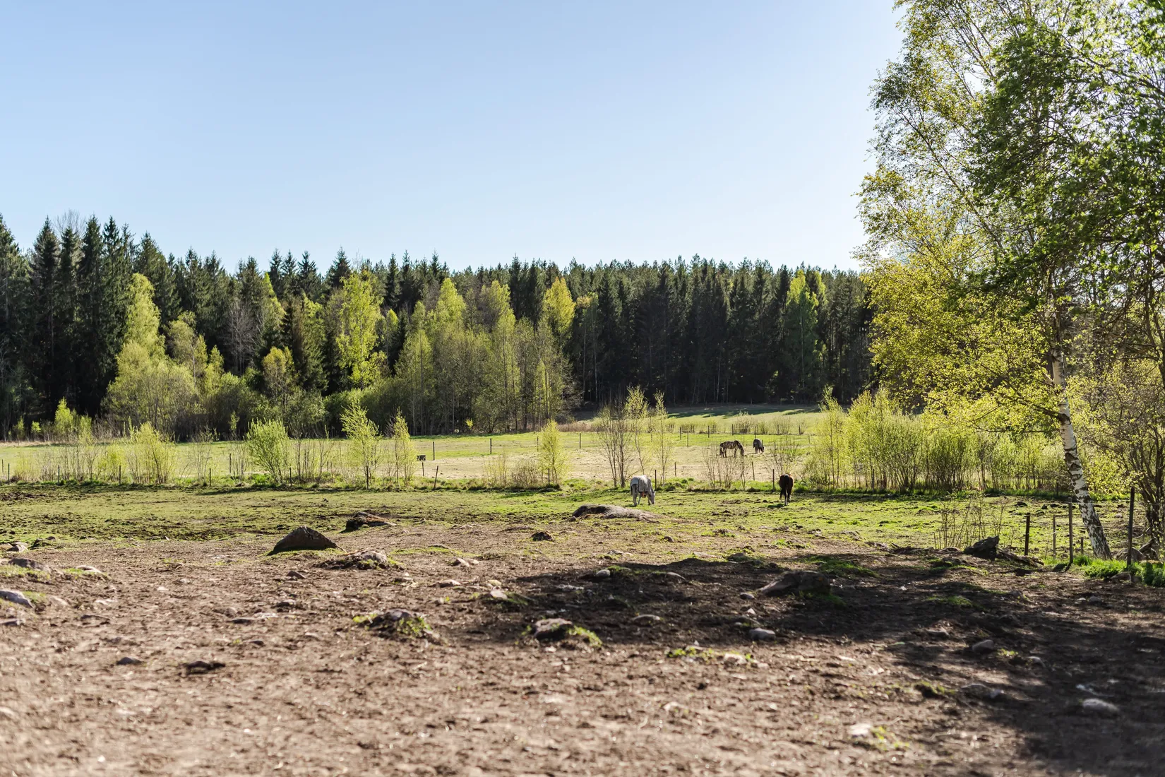 Gård/Skog, Gullstigen Rosenlund 1, Boxholm