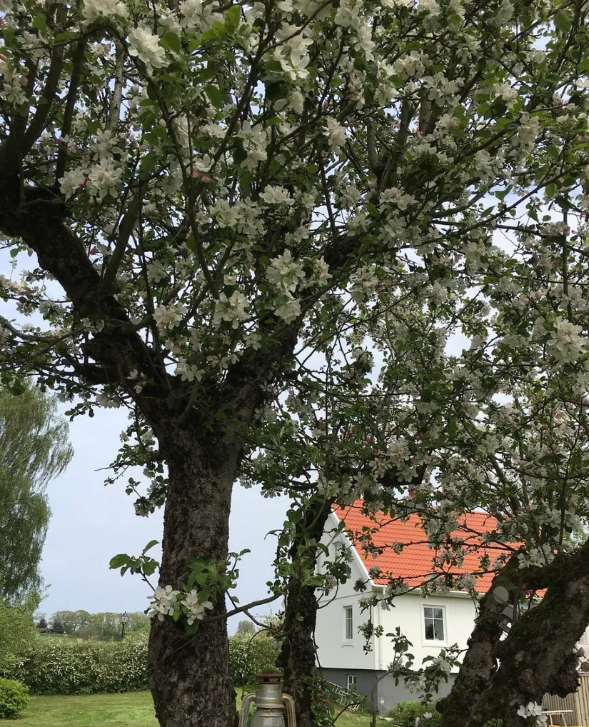 Villa, Stora Fränningevägen 147-5, Fränninge/Vollsjö, Sjöbo