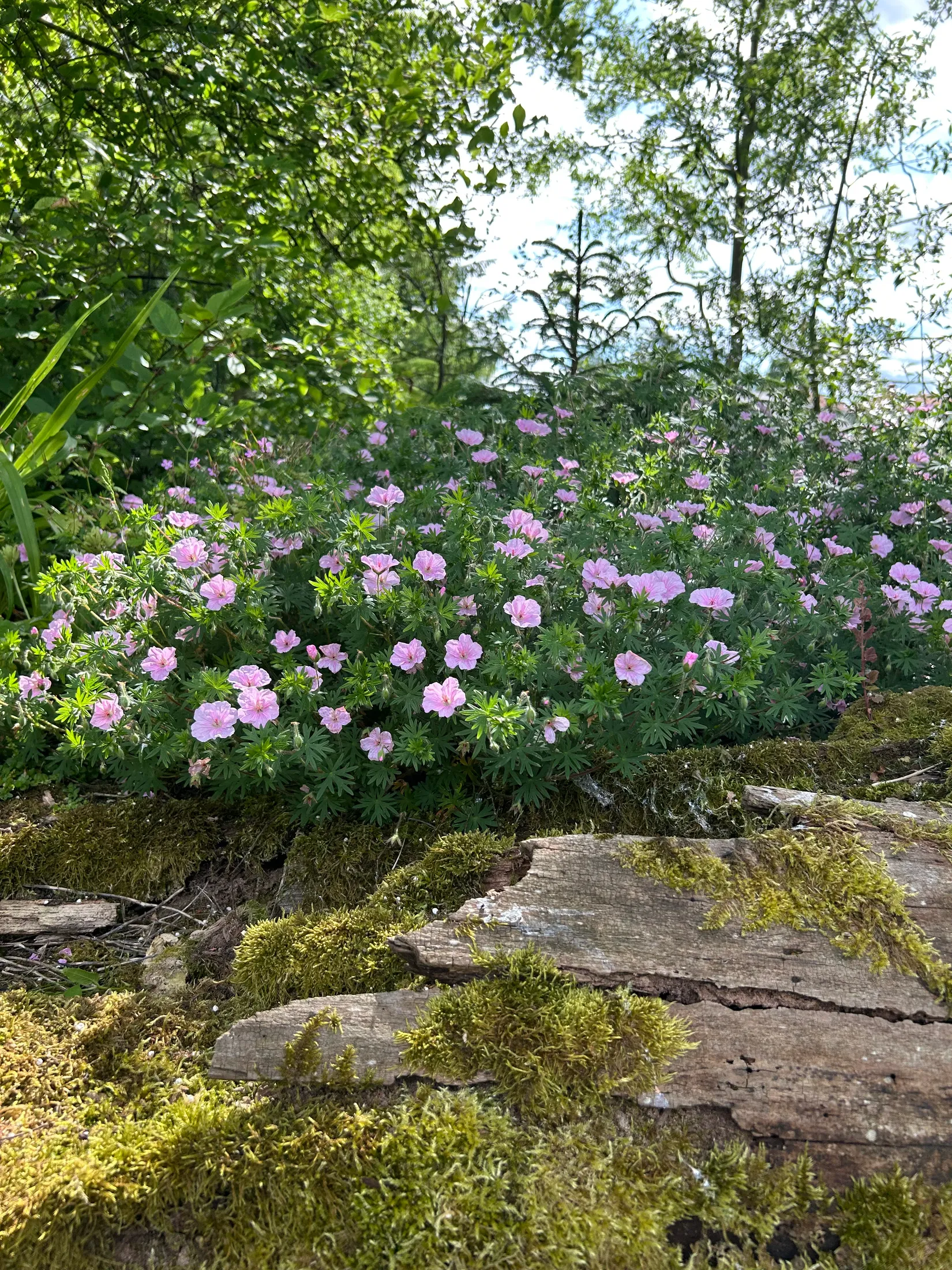 Villa, Stora Fränningevägen 147-5, Fränninge/Vollsjö, Sjöbo