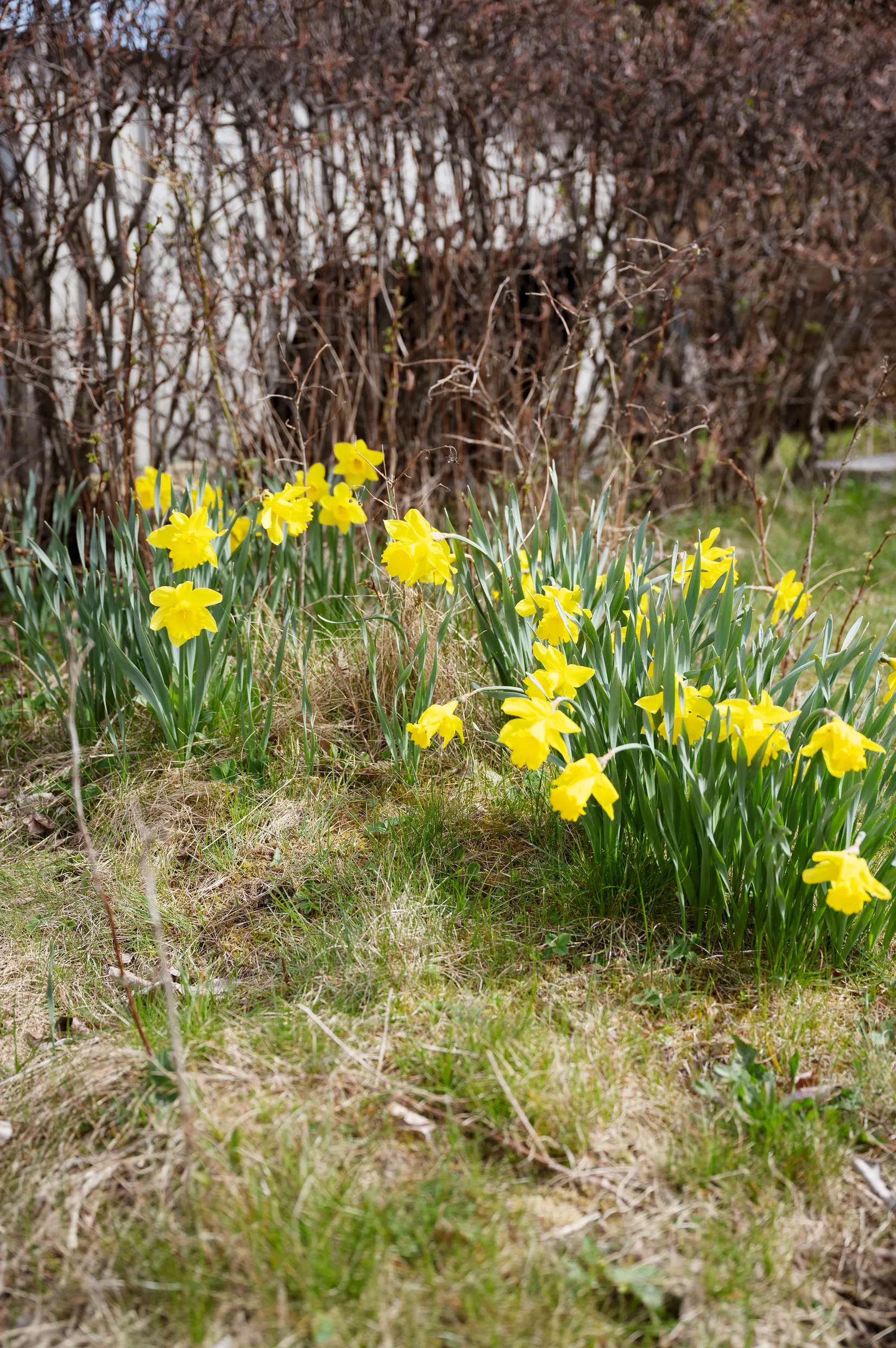 Fritidshus, Vaxmyra kolonistuga nr 14, Vaxmyra koloniträdgårdsförening, Upplands Väsby