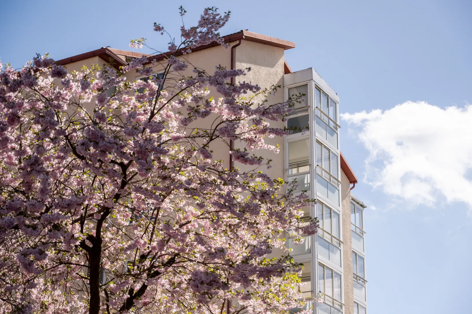 Bostadsrätt, Guldbrandsgatan 4, Trandared, Borås