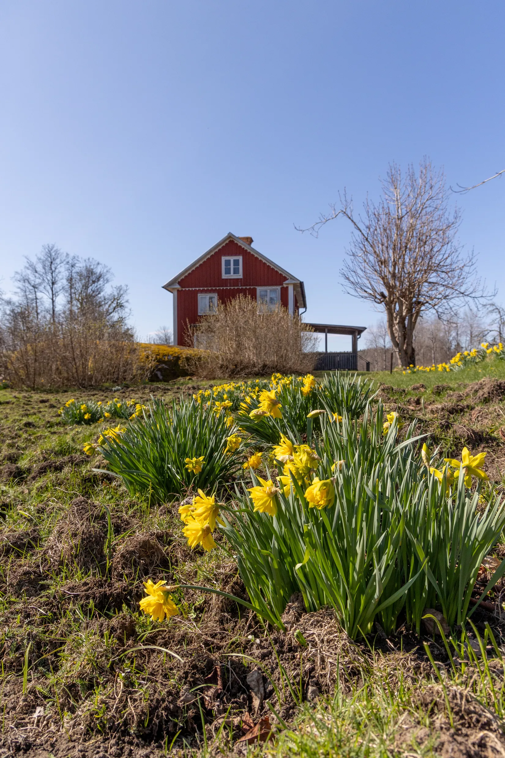 Gård/Skog, Sjökrok 1, Kristdala, Oskarshamn