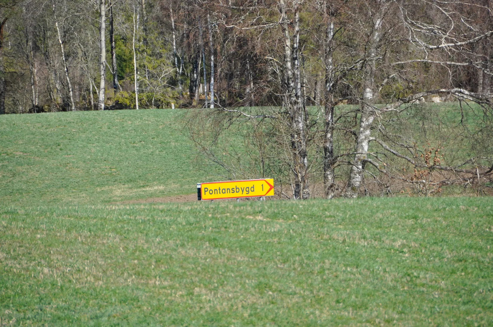Gård/Skog, Vägarås 1245, Markaryd