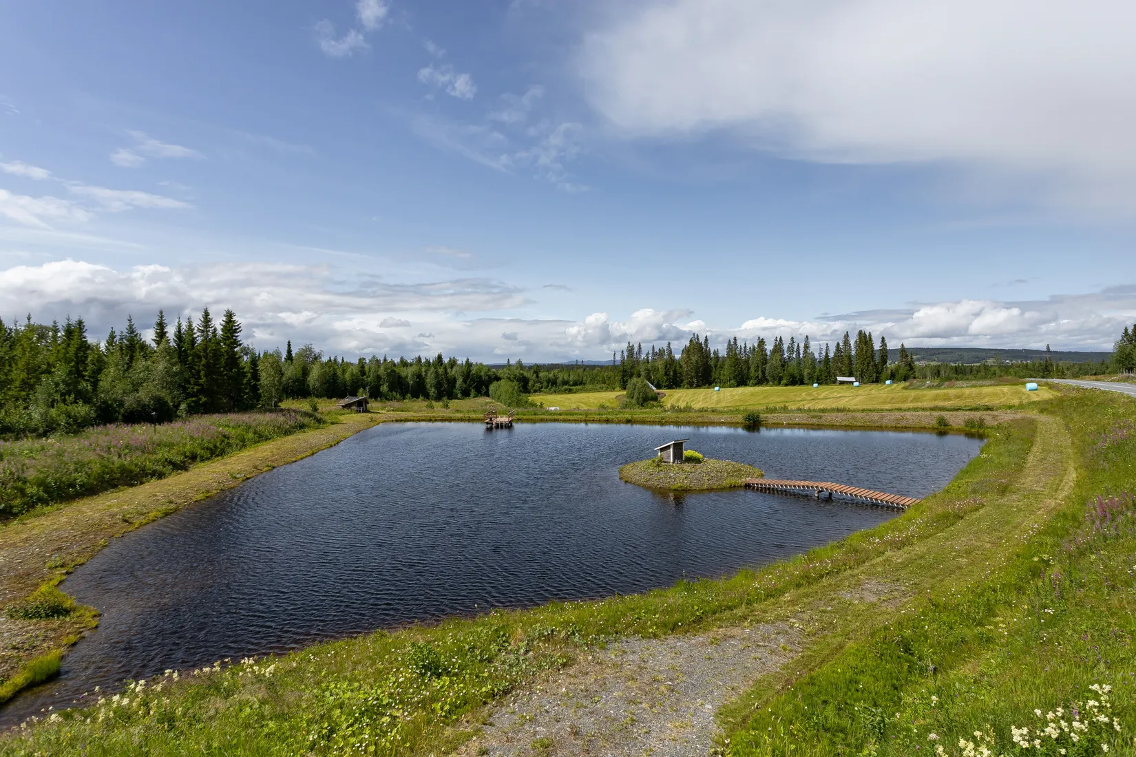 Gård/Skog, Vallen 250, Offerdal, Krokom