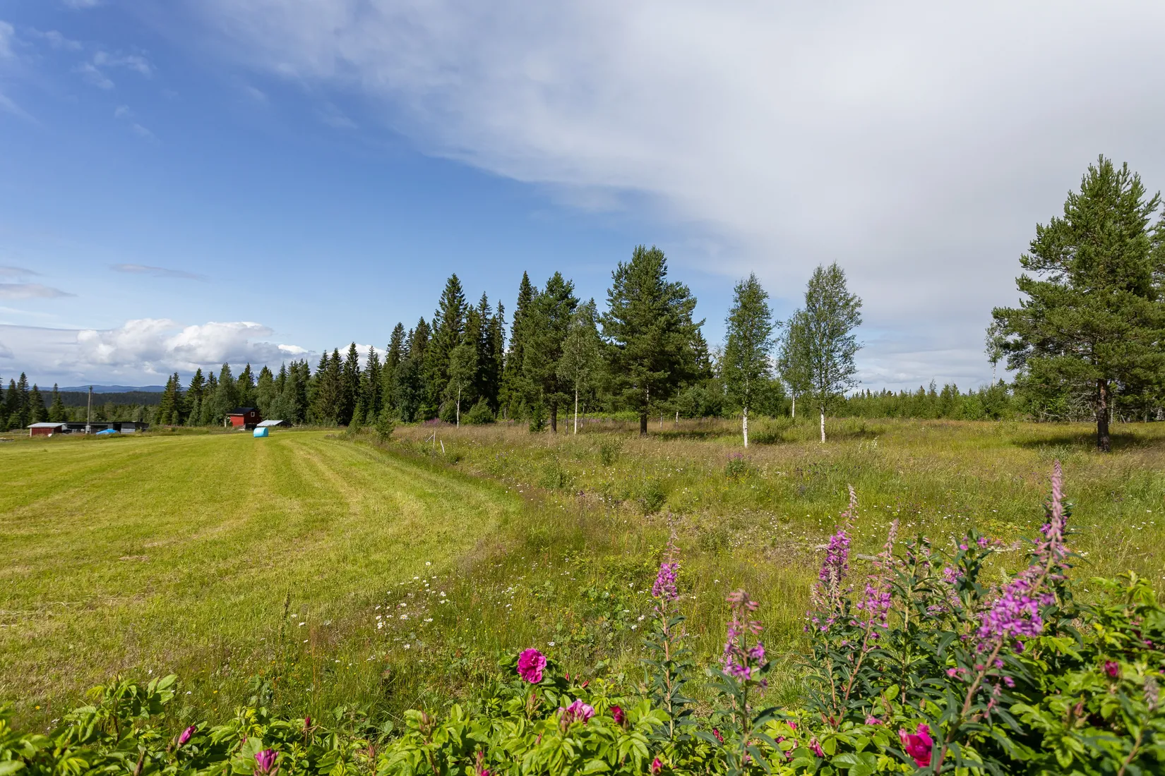 Gård/Skog, Vallen 250, Offerdal, Krokom