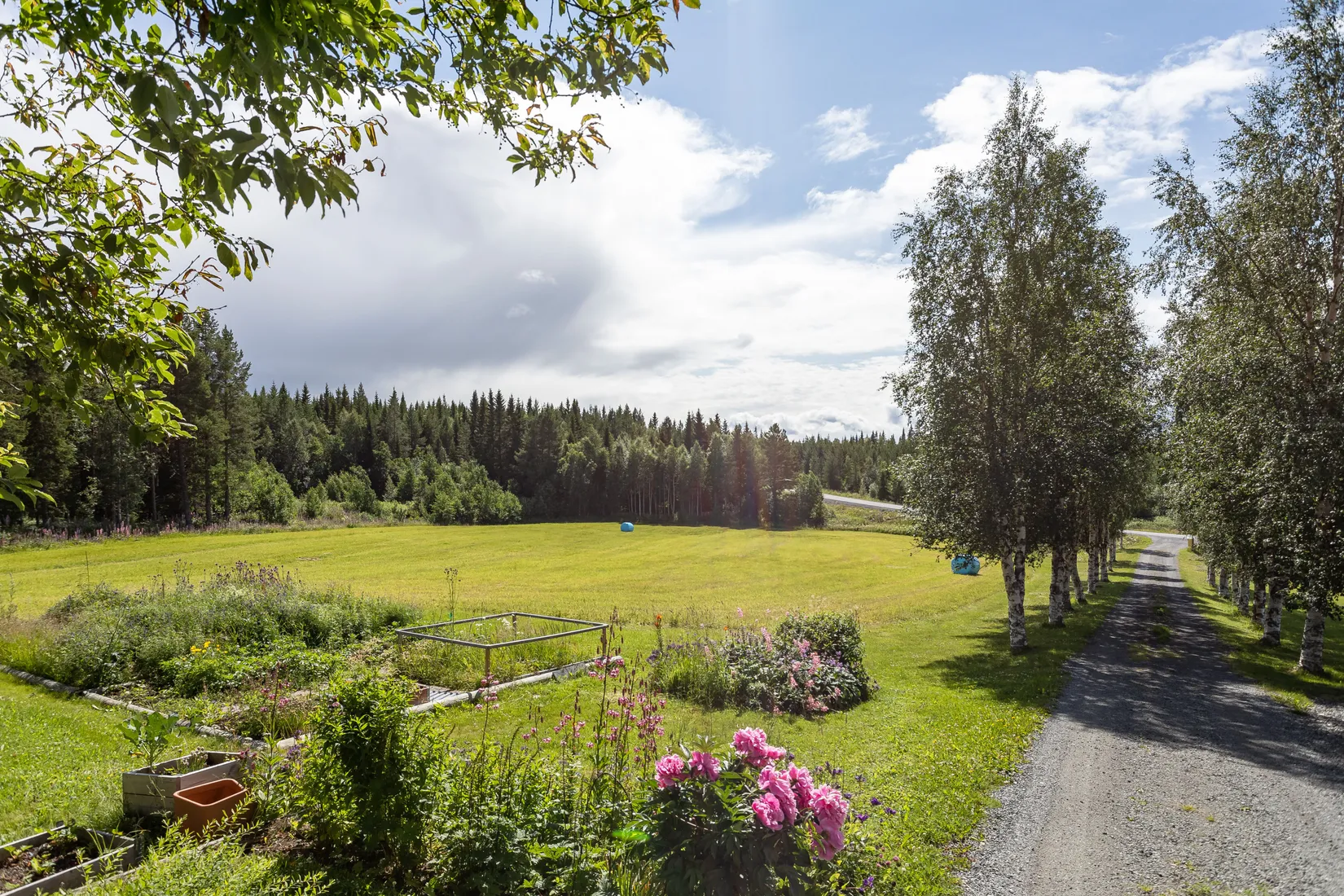 Gård/Skog, Vallen 250, Offerdal, Krokom