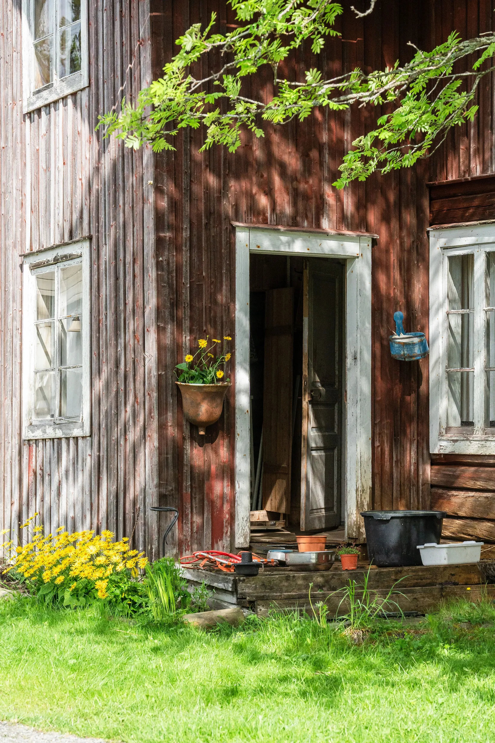 Gård/Skog, Vallen 250, Offerdal, Krokom
