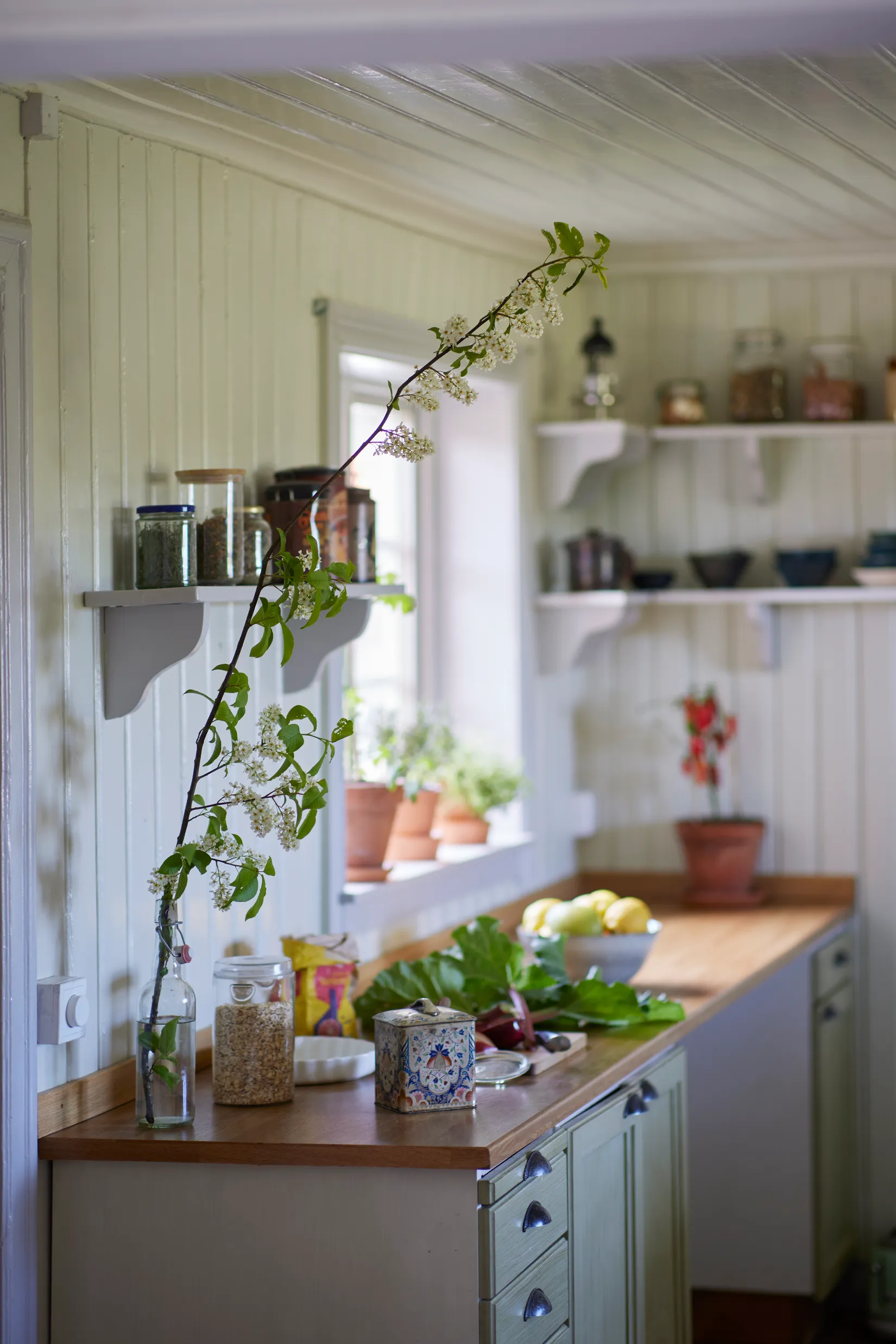 Gård/Skog, Torsåker Klockarbol 1, Gnesta