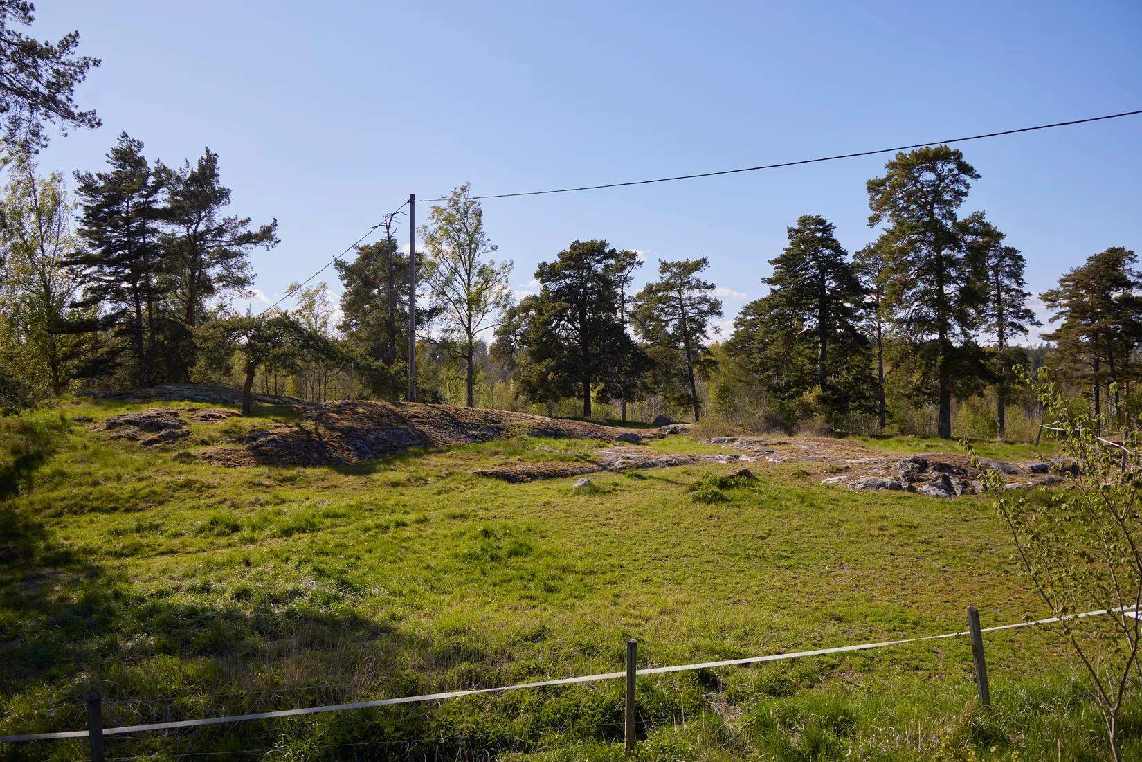 Gård/Skog, Torsåker Klockarbol 1, Gnesta