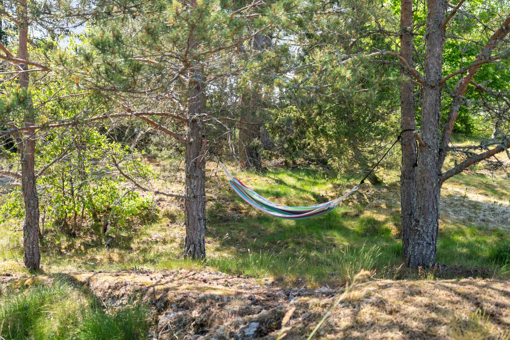 Gård/Skog, Torsåker Klockarbol 1, Gnesta
