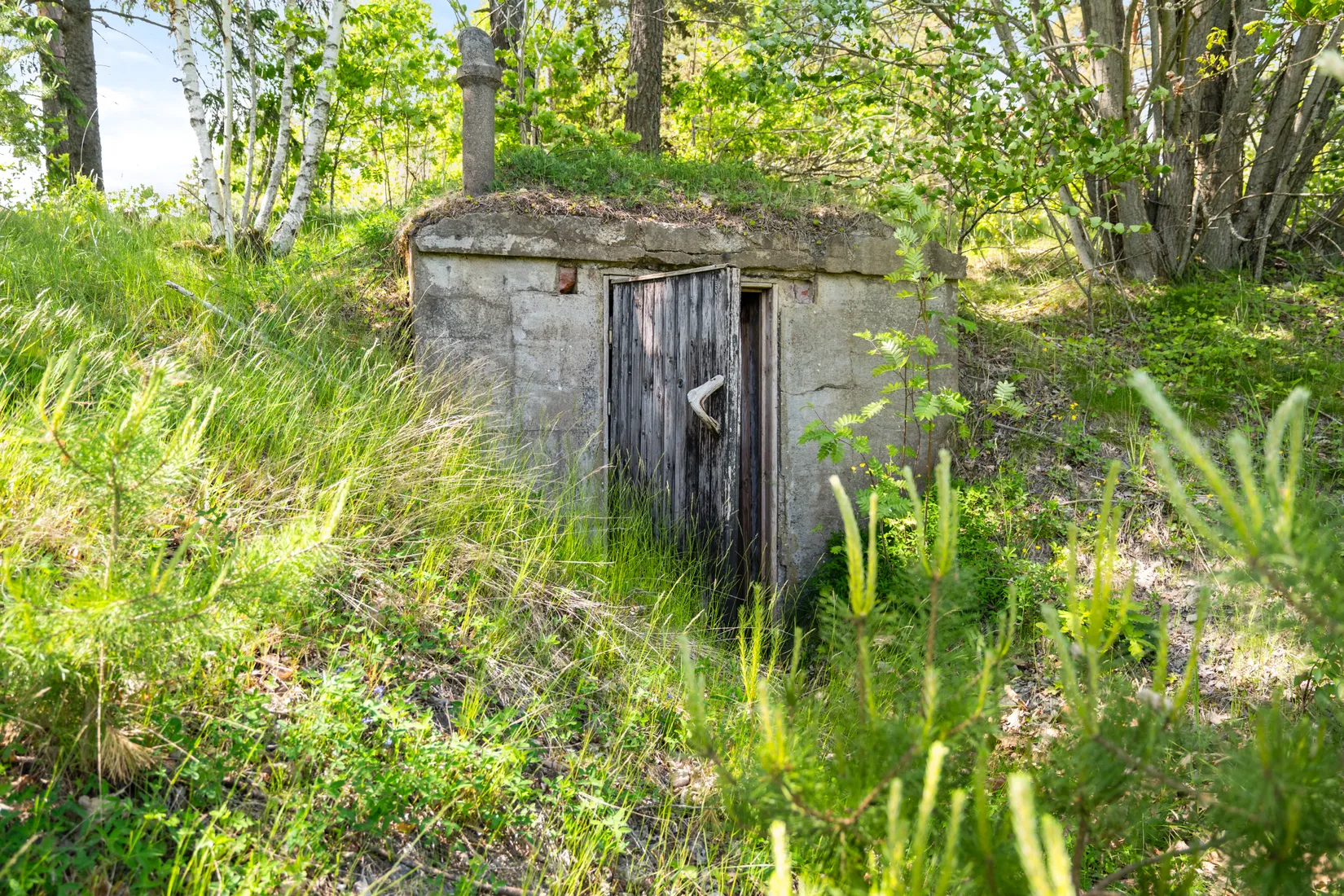 Gård/Skog, Torsåker Klockarbol 1, Gnesta
