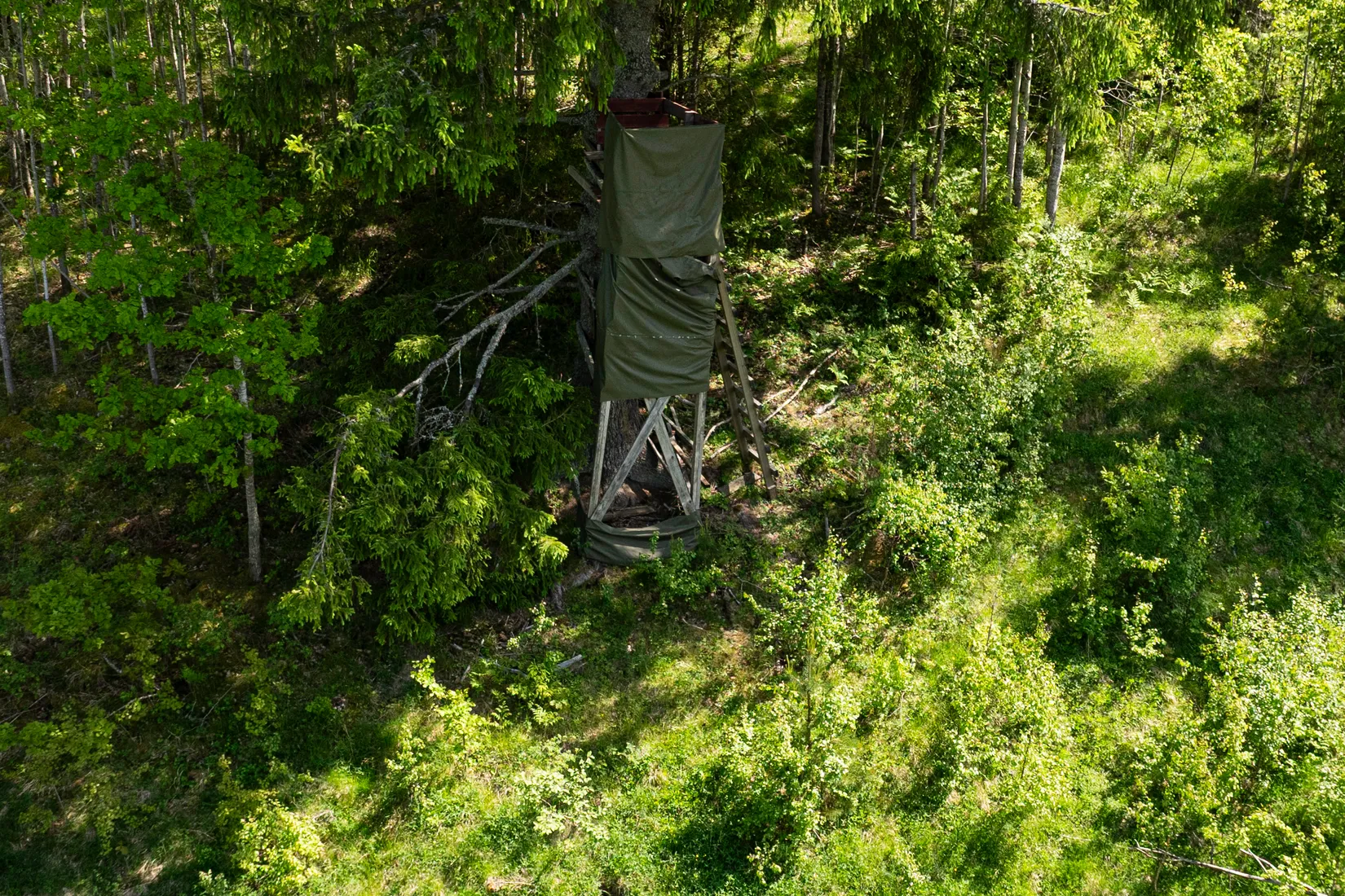 Gård/Skog, Torsåker Klockarbol 1, Gnesta