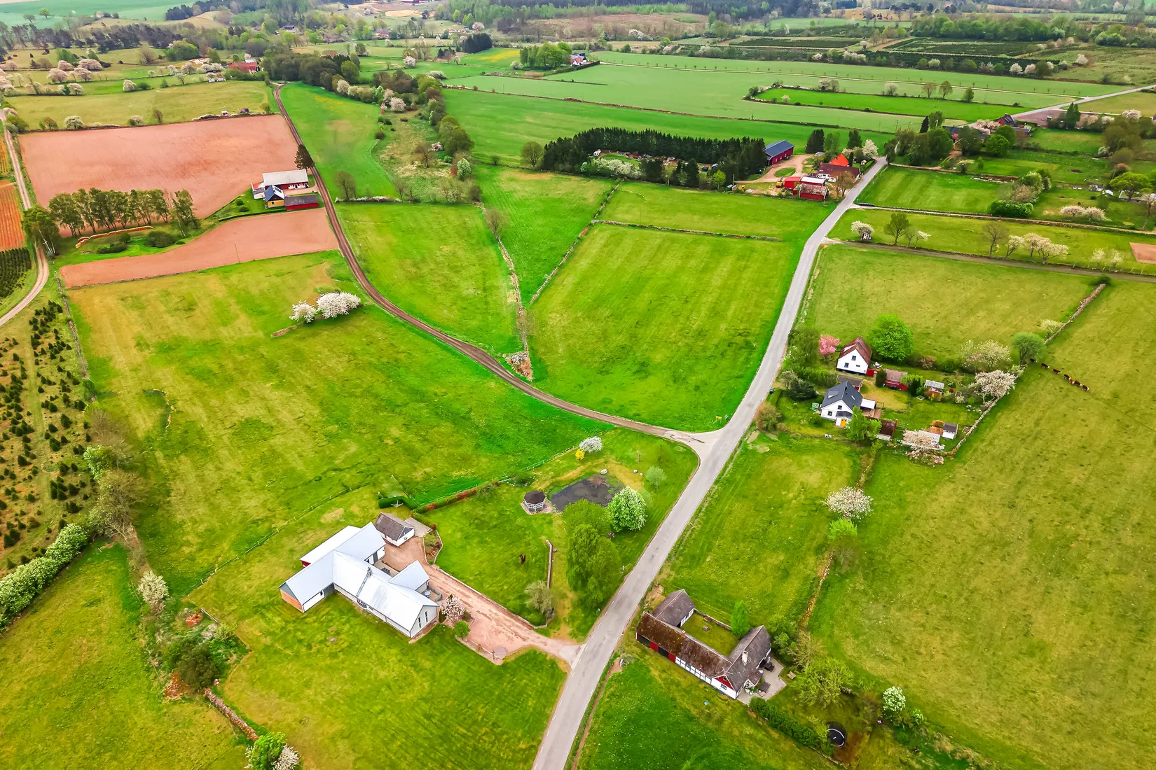 Gård/Skog, Lökarödsvägen 405, Lökaröd, Kristianstad