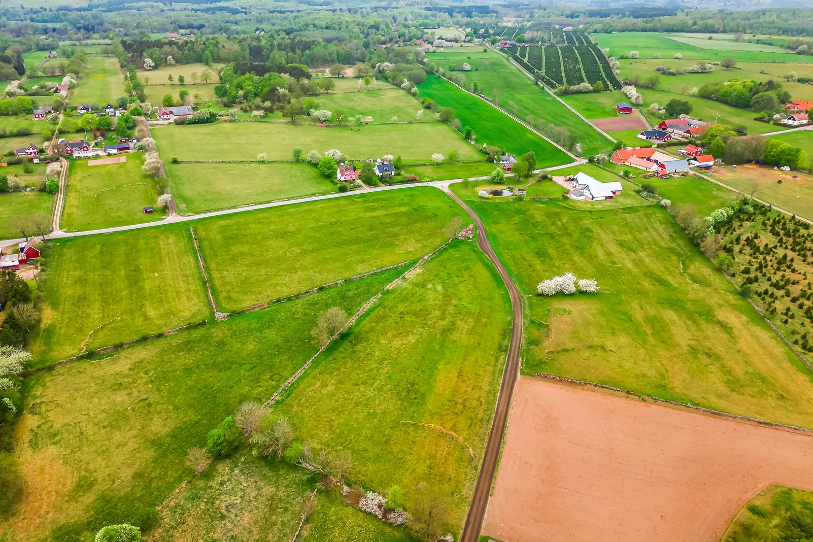 Gård/Skog, Lökarödsvägen 405, Lökaröd, Kristianstad