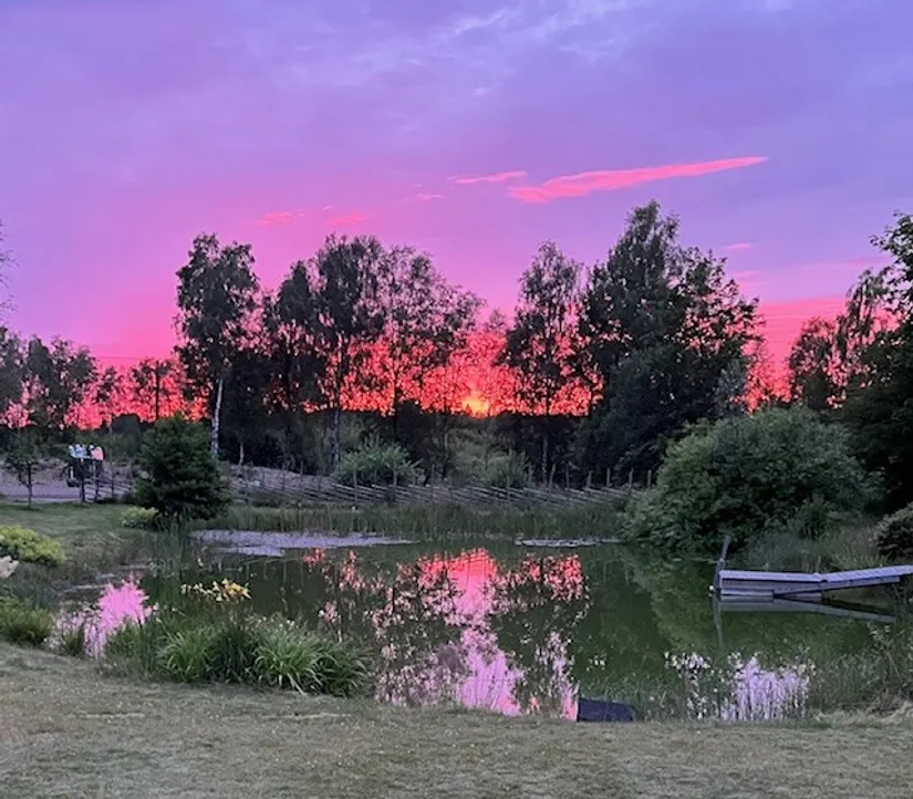 Gård/Skog, Furutorpsvägen 84, Munka-Ljungby, Ängelholm