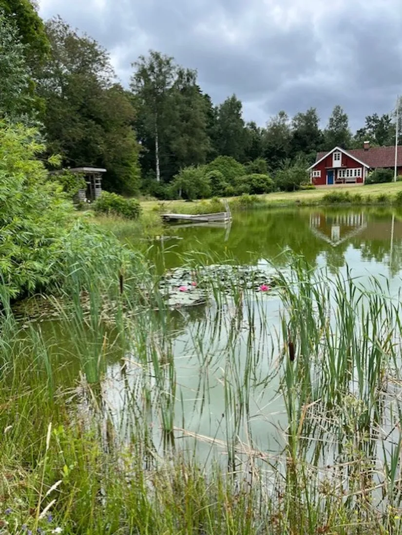 Gård/Skog, Furutorpsvägen 84, Munka-Ljungby, Ängelholm