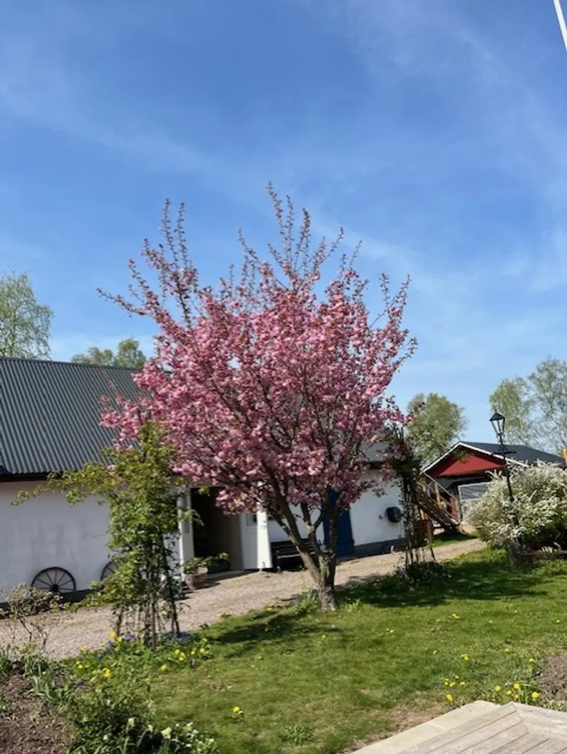 Gård/Skog, Furutorpsvägen 84, Munka-Ljungby, Ängelholm