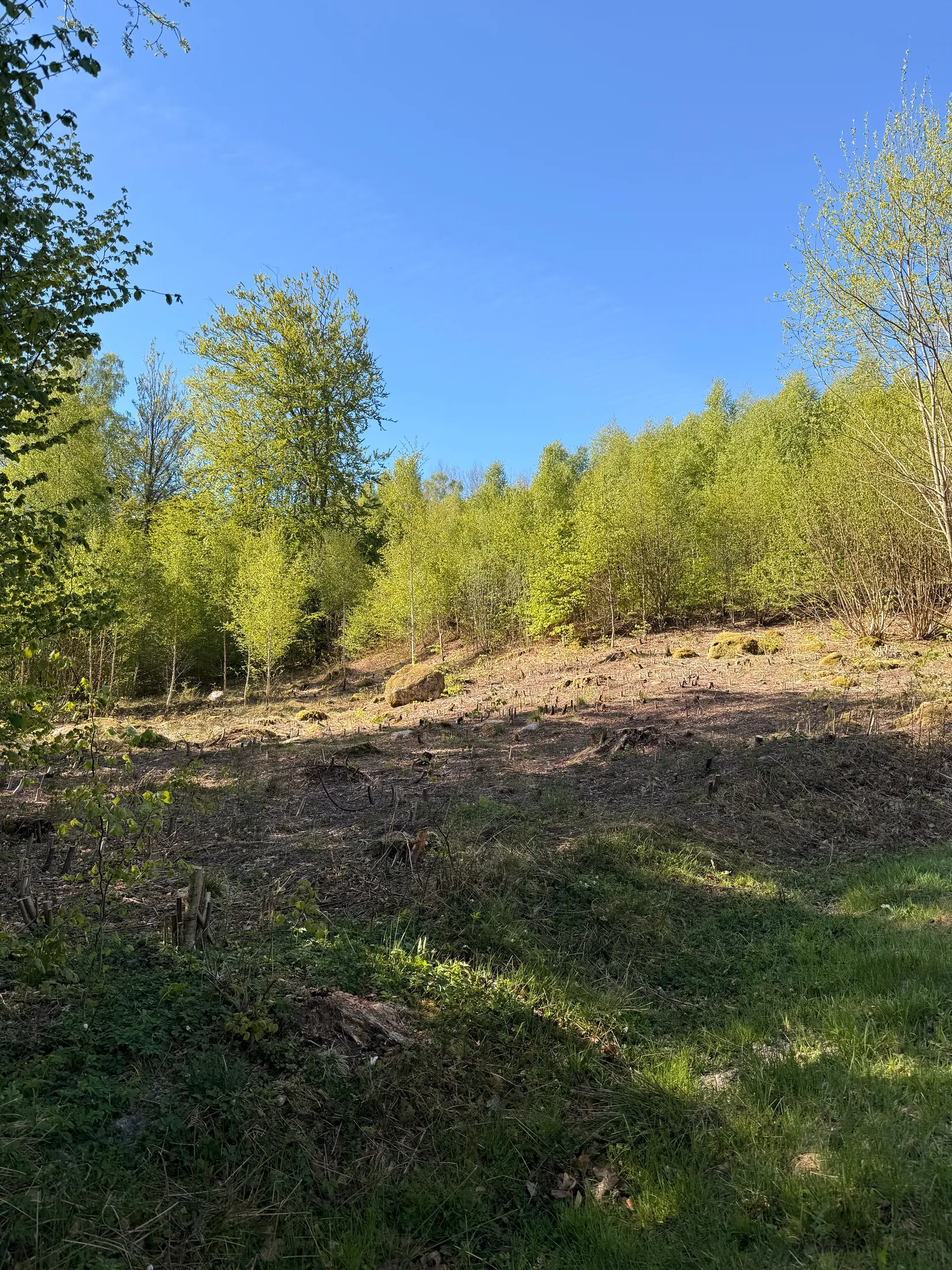Tomt, Kanotvägen 11, Skyrup, Hässleholm