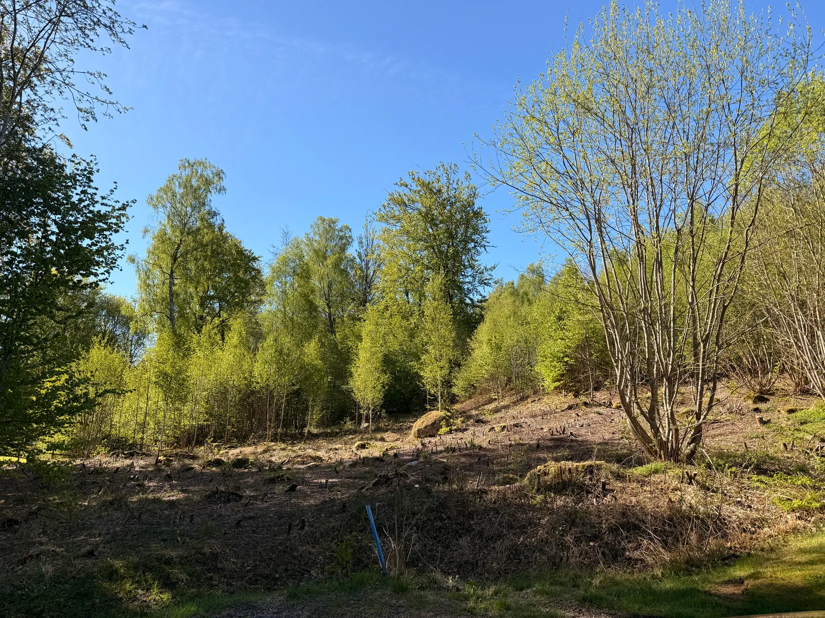 Tomt, Kanotvägen 11, Skyrup, Hässleholm