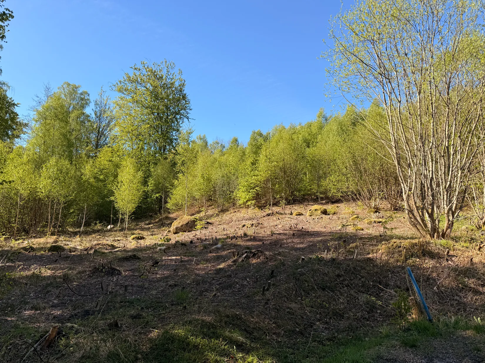 Tomt, Kanotvägen 11, Skyrup, Hässleholm