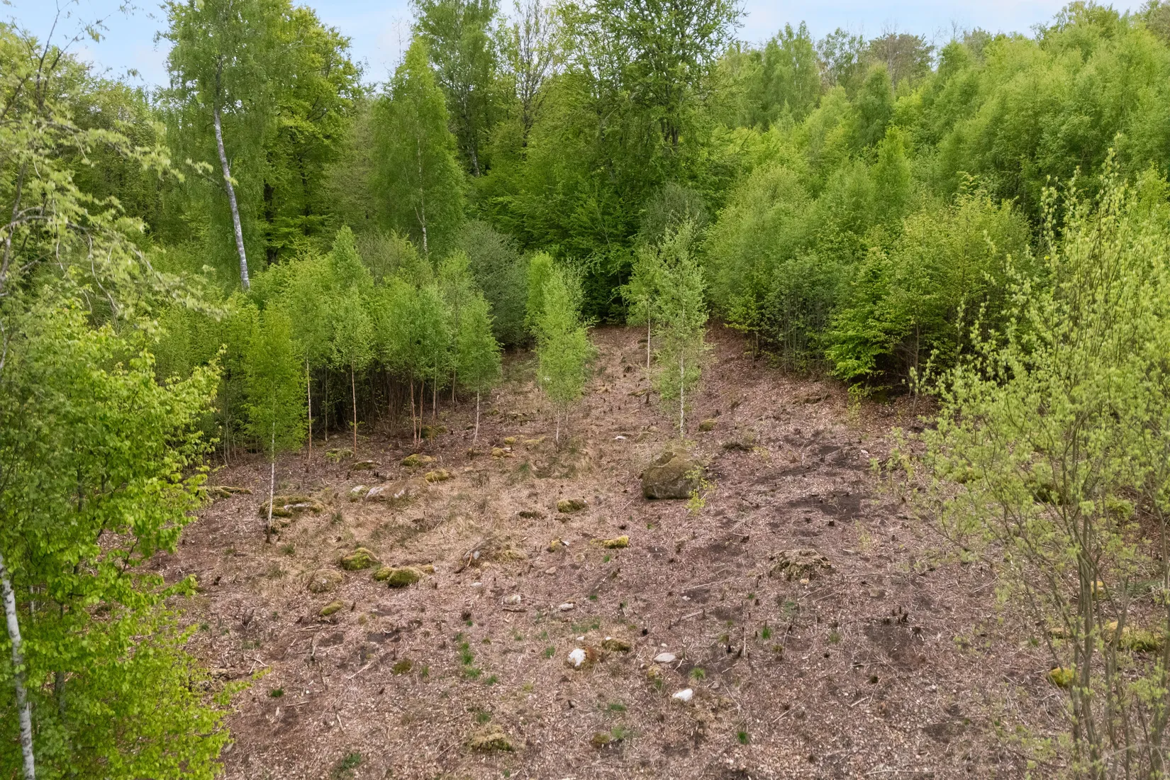 Tomt, Kanotvägen 11, Skyrup, Hässleholm
