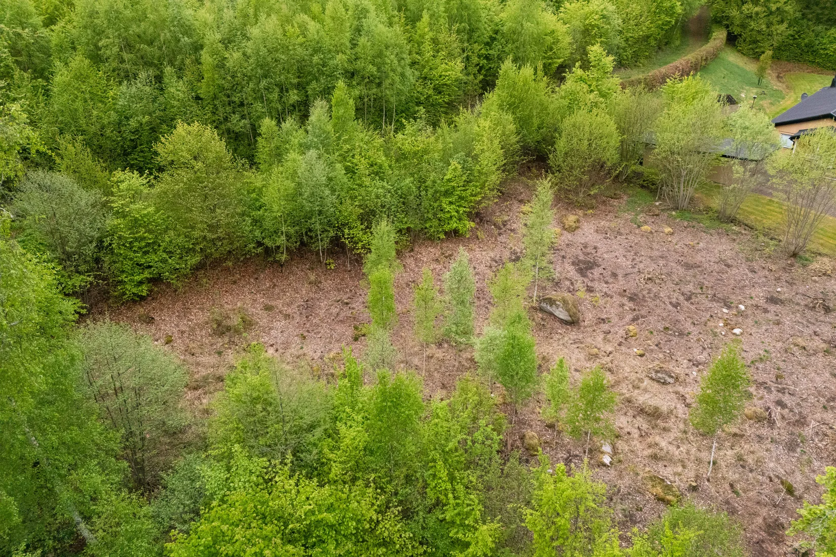Tomt, Kanotvägen 11, Skyrup, Hässleholm