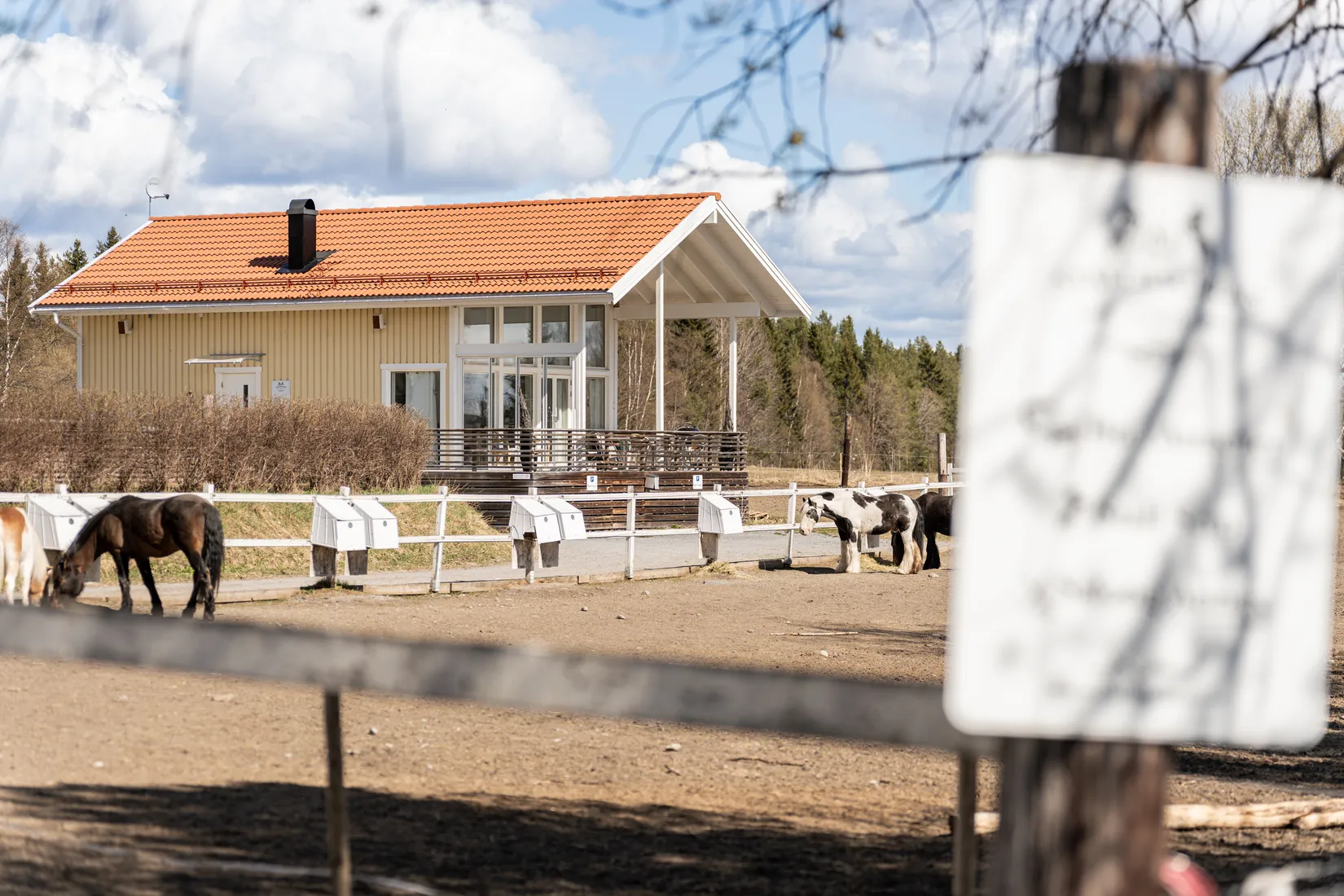 Gård/Skog, Åsvägen 117, Ås, Krokom