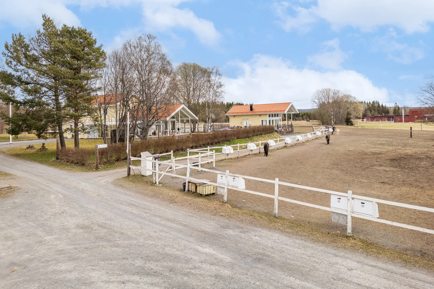 Gård/Skog, Åsvägen 117, Ås, Krokom