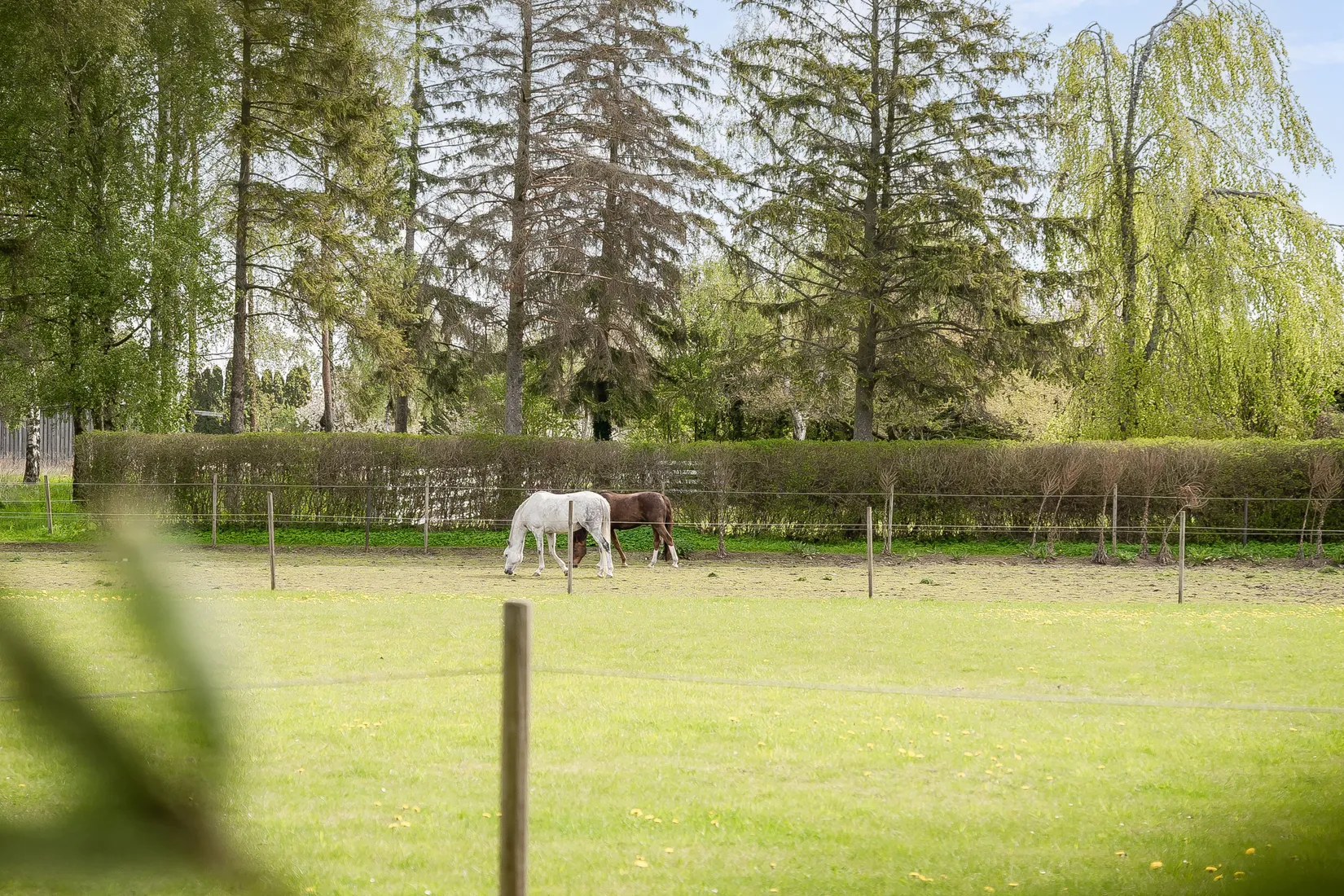 Villa, Dragonvägen 50, Nevishög, Staffanstorp