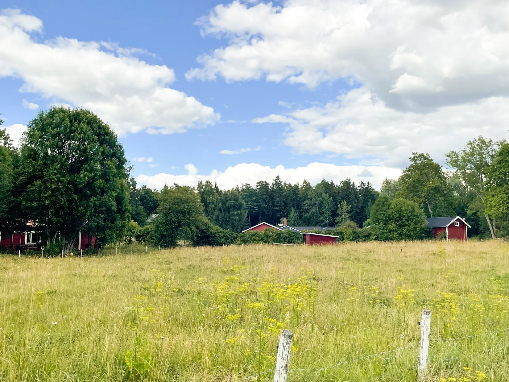 Tomt, Morängen 36, Almunge, Uppsala