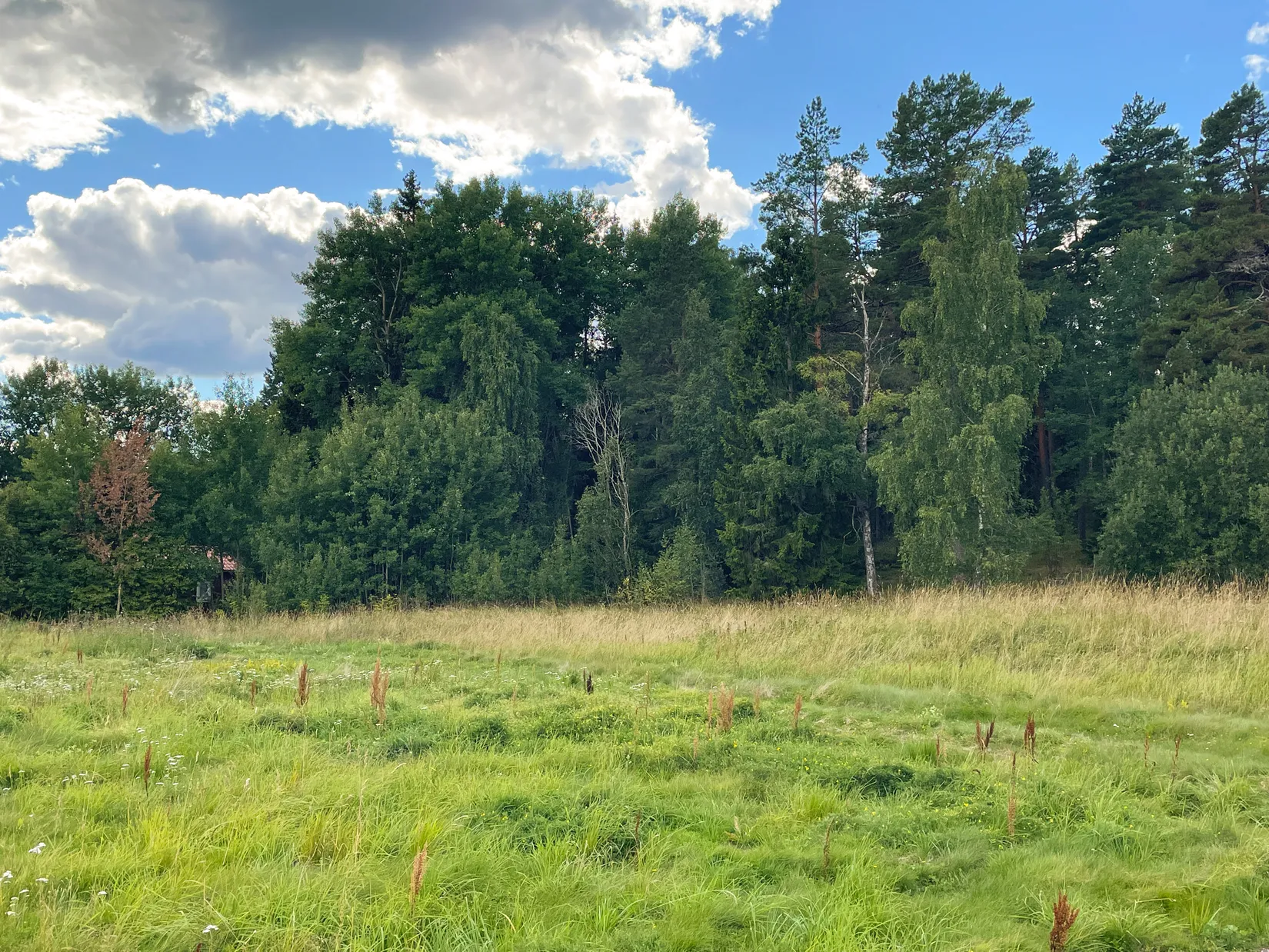 Tomt, Morängen 36, Almunge, Uppsala