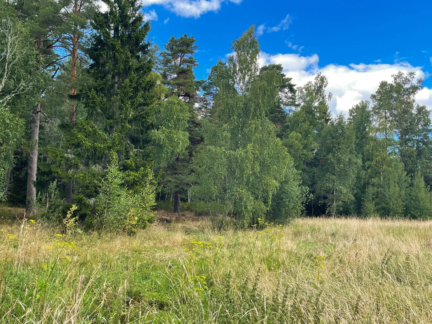 Tomt, Morängen 36, Almunge, Uppsala