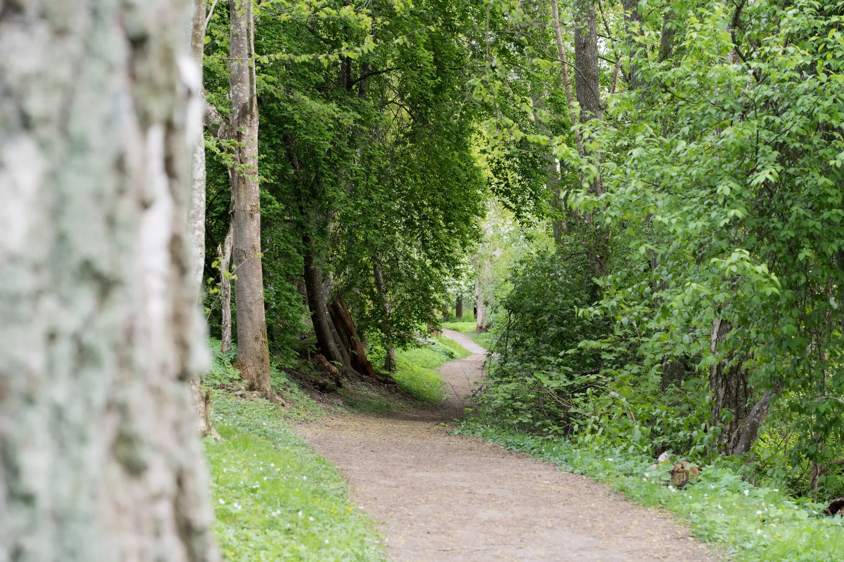 Radhus, Växthusgränd 17, Marieberg, Nyköping