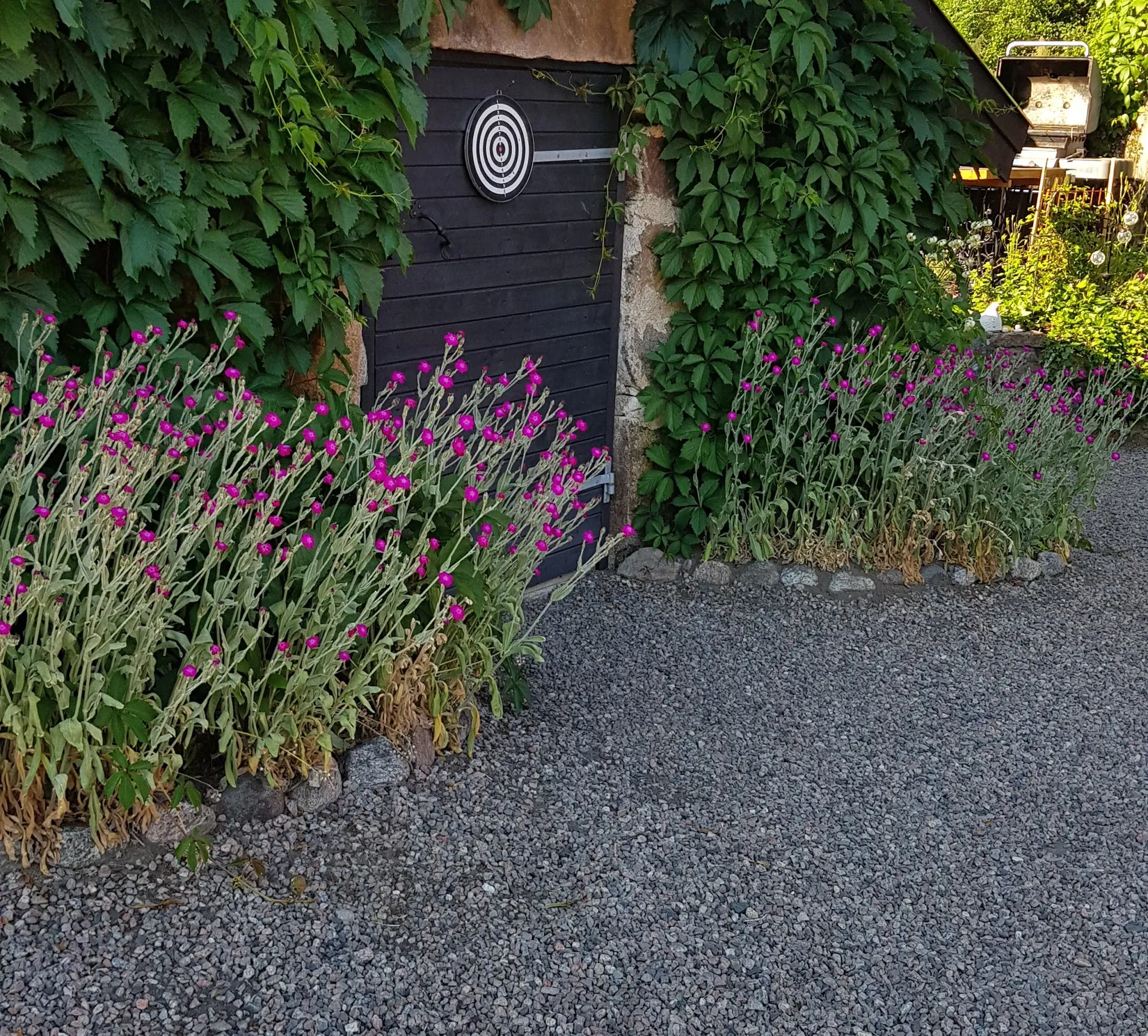 Gård/Skog, Tulka byväg 10 och 12, Tulka, Norrtälje