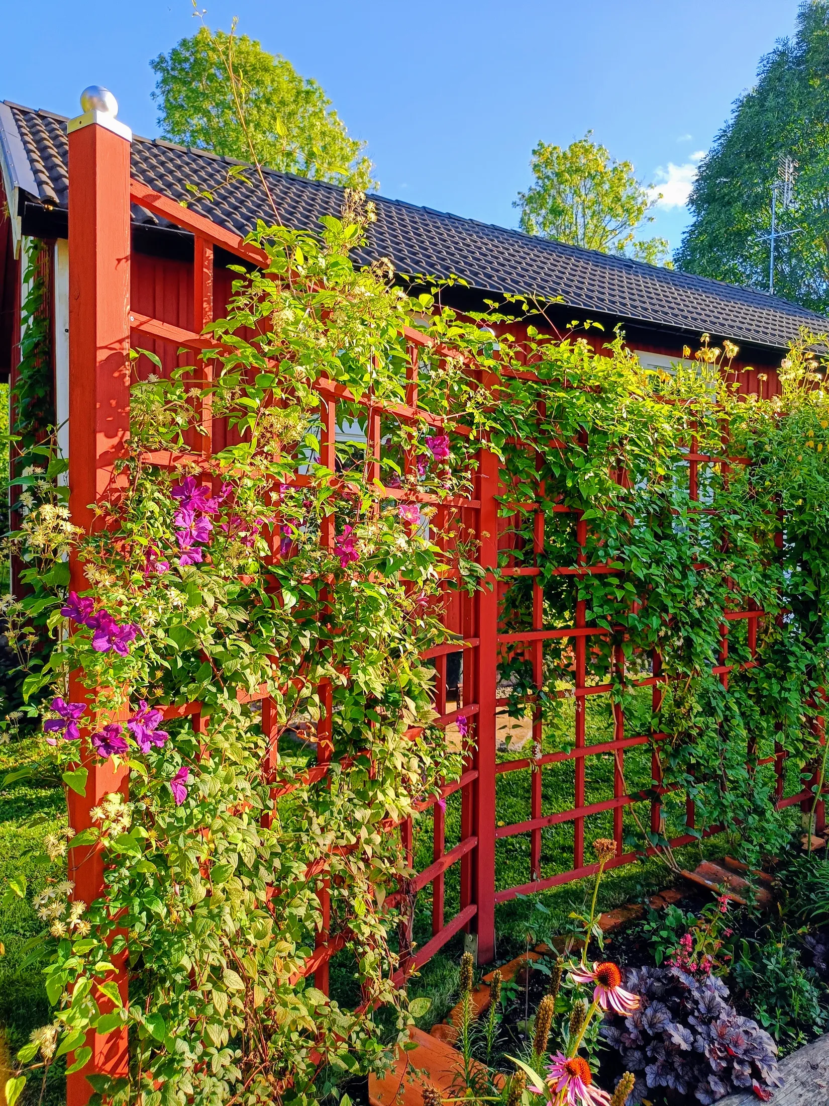 Gård/Skog, Tulka byväg 10 och 12, Tulka, Norrtälje