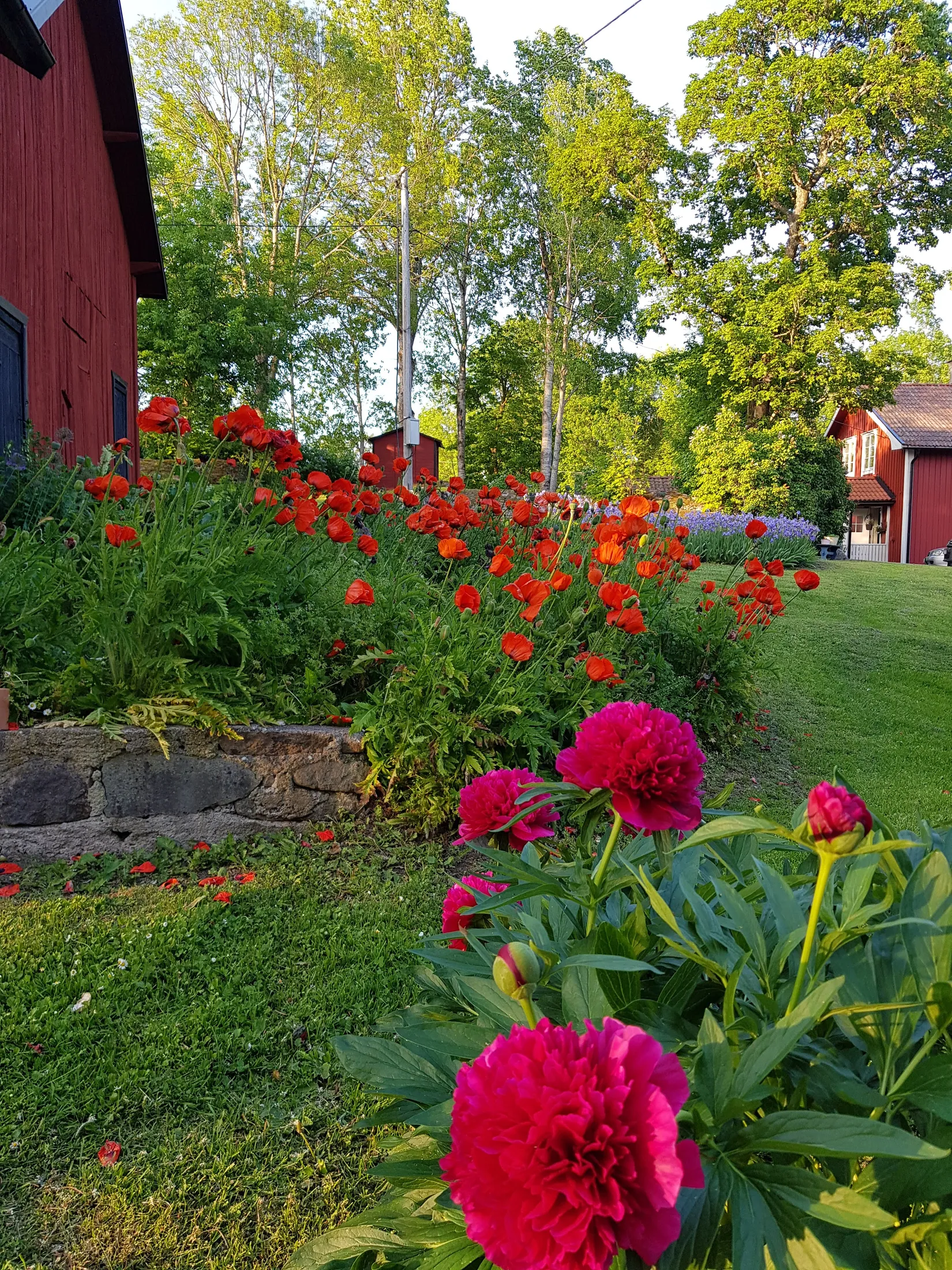 Gård/Skog, Tulka byväg 10 och 12, Tulka, Norrtälje