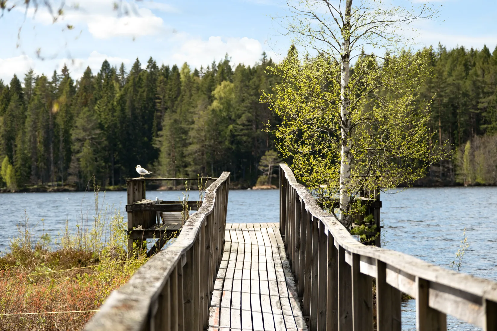 Bostadsrätt, Turistgårdsvägen 53, Ludvika
