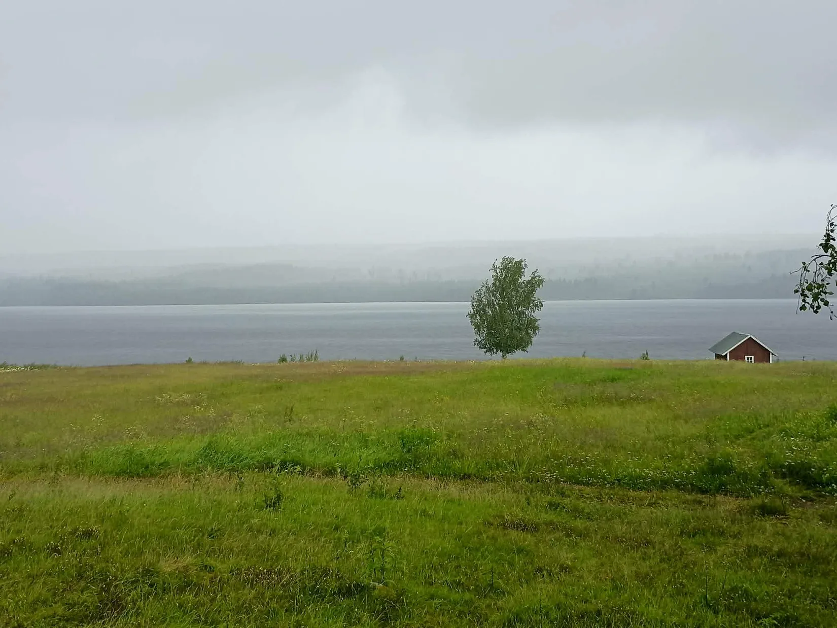 Gård/Skog, Brattbäcken 475, Brattbäcken, Strömsund