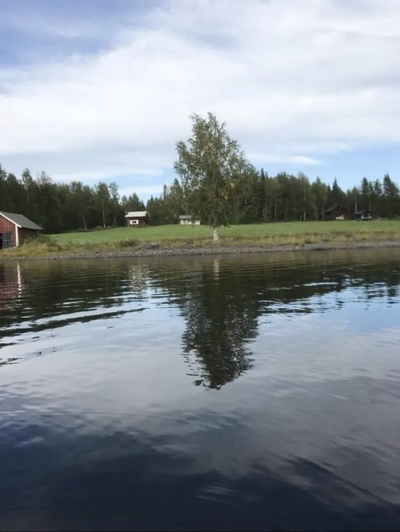Gård/Skog, Brattbäcken 475, Brattbäcken, Strömsund