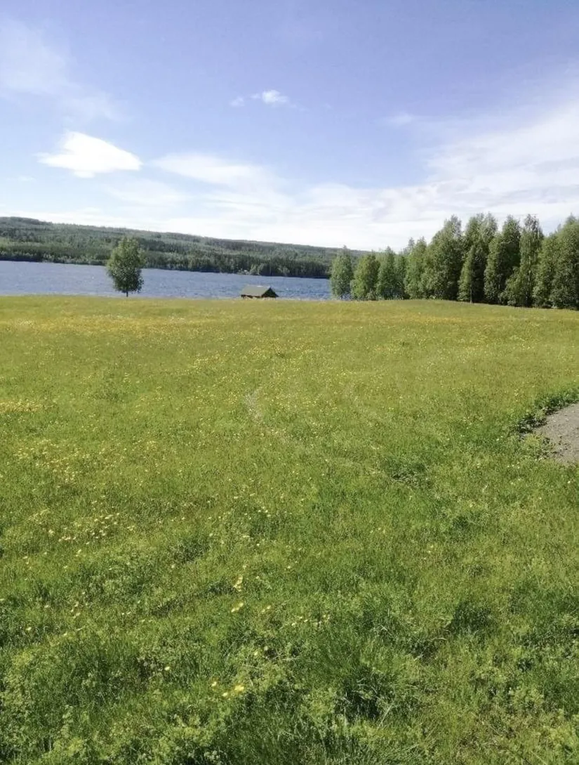 Gård/Skog, Brattbäcken 475, Brattbäcken, Strömsund