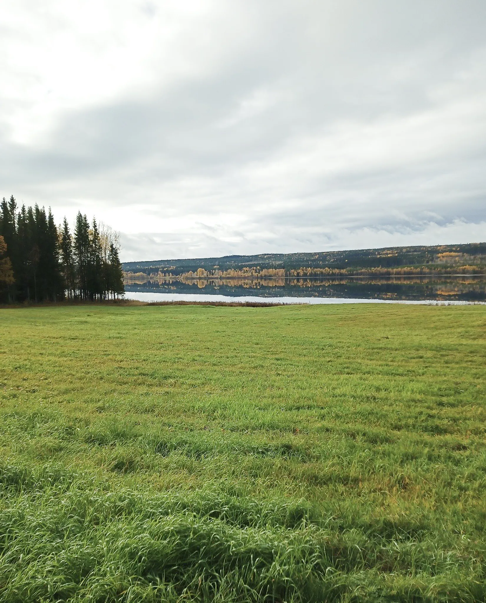 Gård/Skog, Brattbäcken 475, Brattbäcken, Strömsund