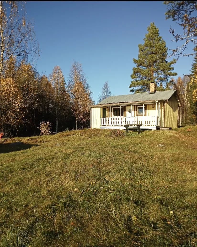 Gård/Skog, Brattbäcken 475, Brattbäcken, Strömsund