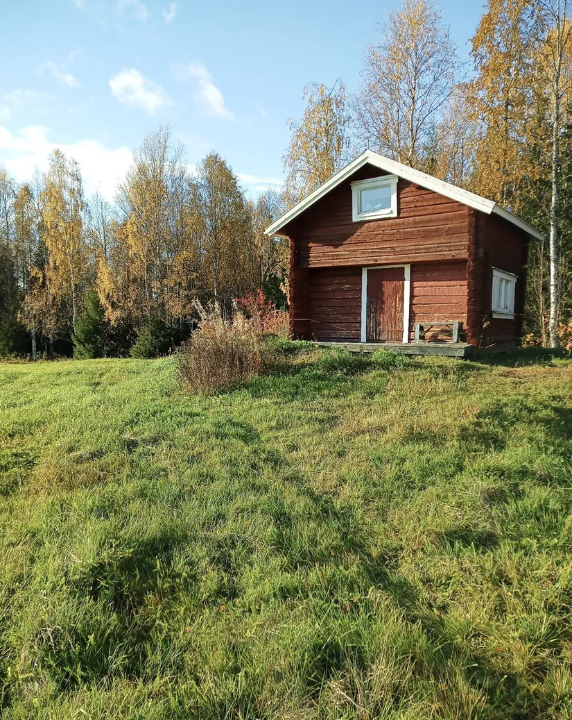 Gård/Skog, Brattbäcken 475, Brattbäcken, Strömsund