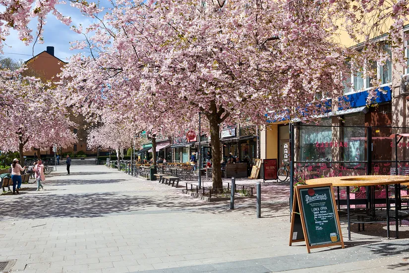 Bostadsrätt, Tavastgatan 29B, Södermalm Maria, Stockholm