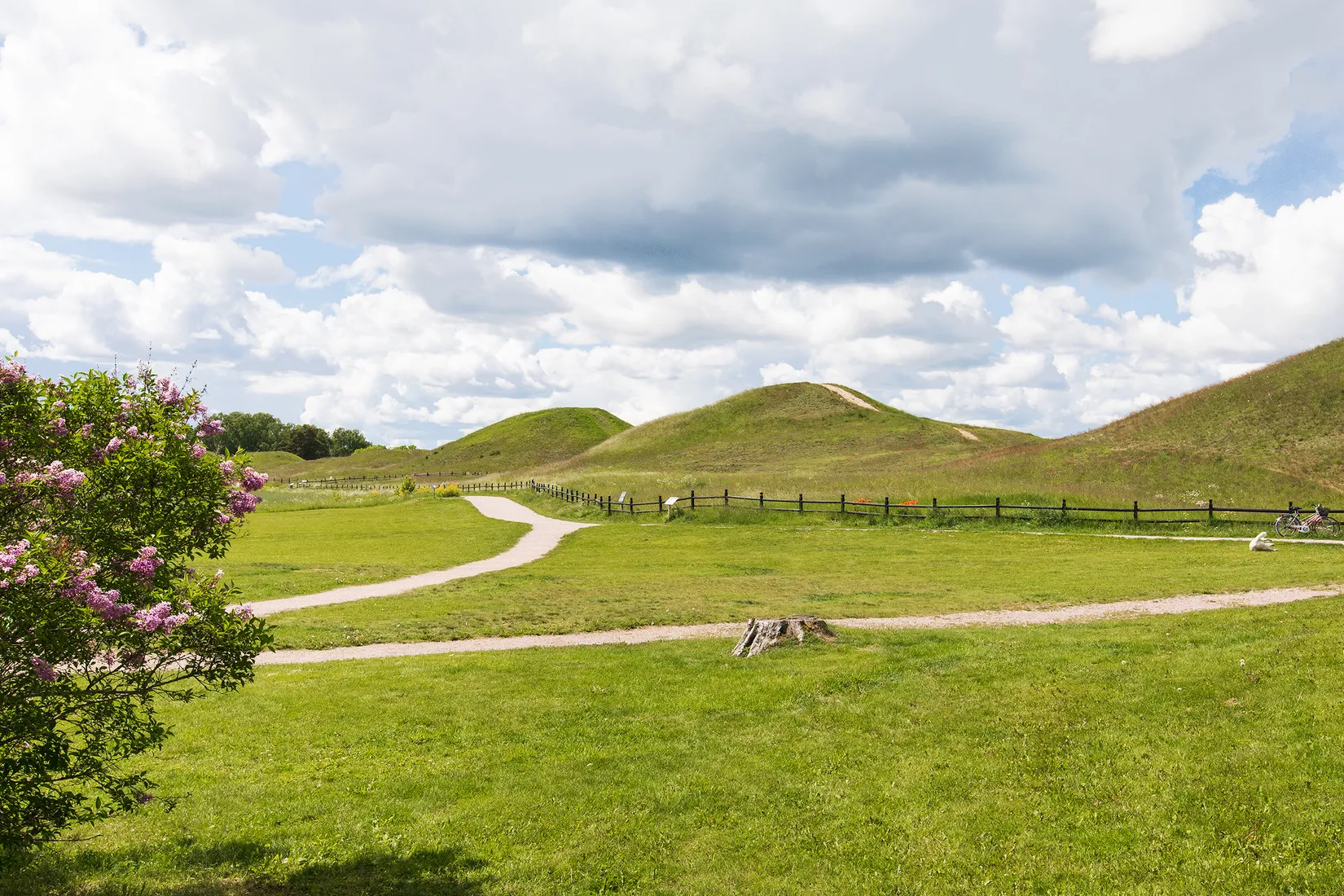 Villa, Radhus, Greta Arwidssons väg 36, Gamla Uppsala, Uppsala