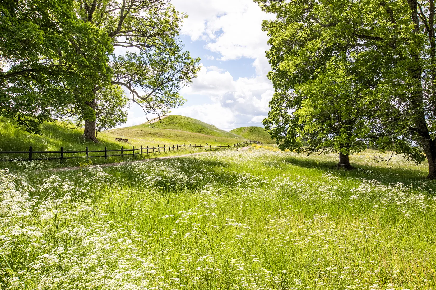 Villa, Radhus, Greta Arwidssons väg 36, Gamla Uppsala, Uppsala