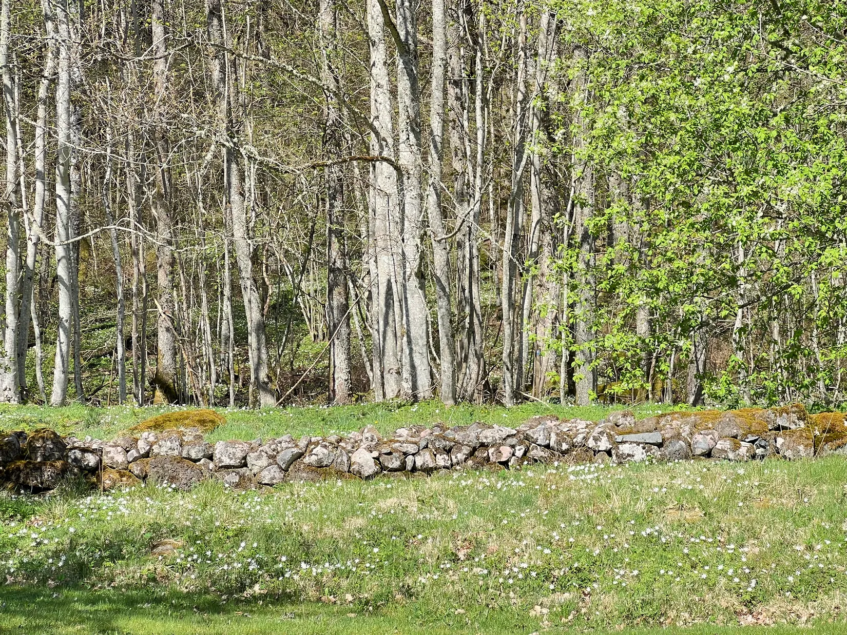 Villa, Ollestad Getlanda 1, Herrljunga