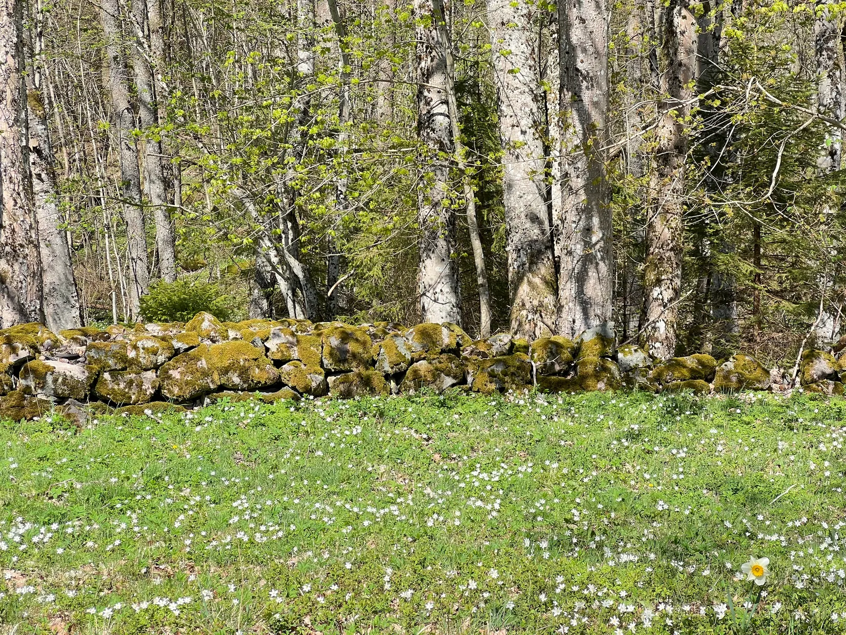 Villa, Ollestad Getlanda 1, Herrljunga