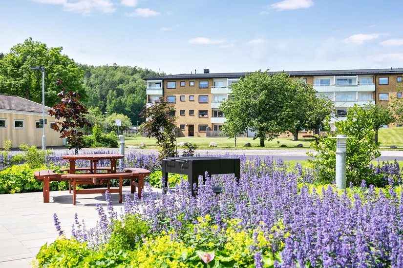 Bostadsrätt, Blandsädesgatan 3C, Mölndal - Bifrost, Mölndal